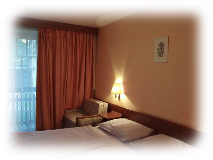 Hotel Prom Svoboda nad Úpou Chambre photo